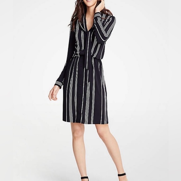 Ann Taylor Dresses & Skirts - Ann Taylor Neck Tie Shirtdress